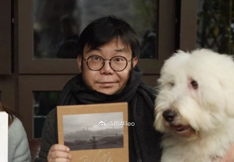 宇芽被家暴!面对家庭暴力,应该如何保护自己?